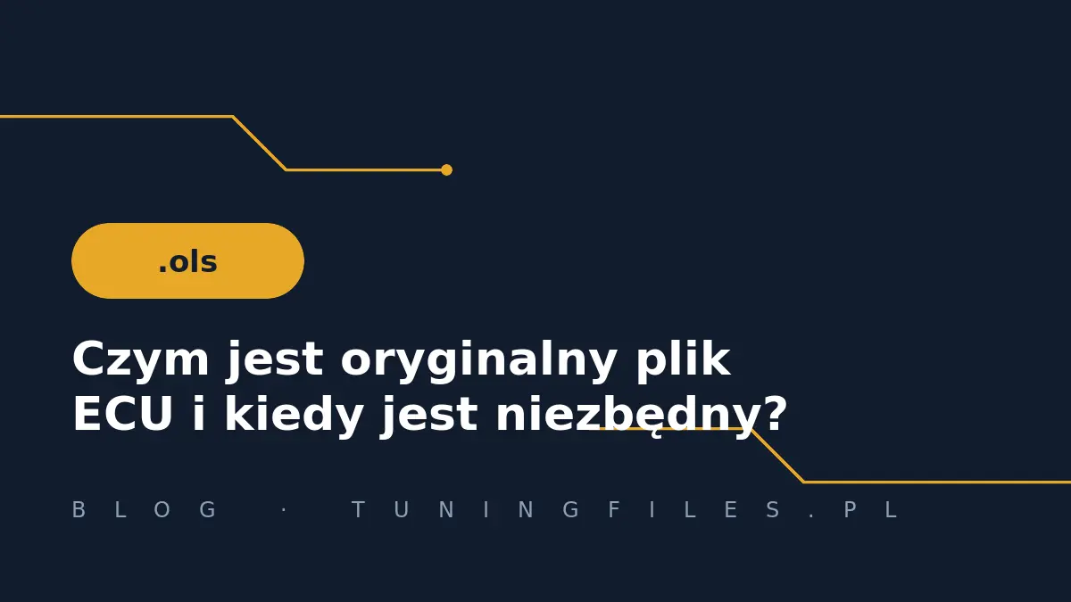 Czym jest oryginalny plik ECU i kiedy jest niezbędny?