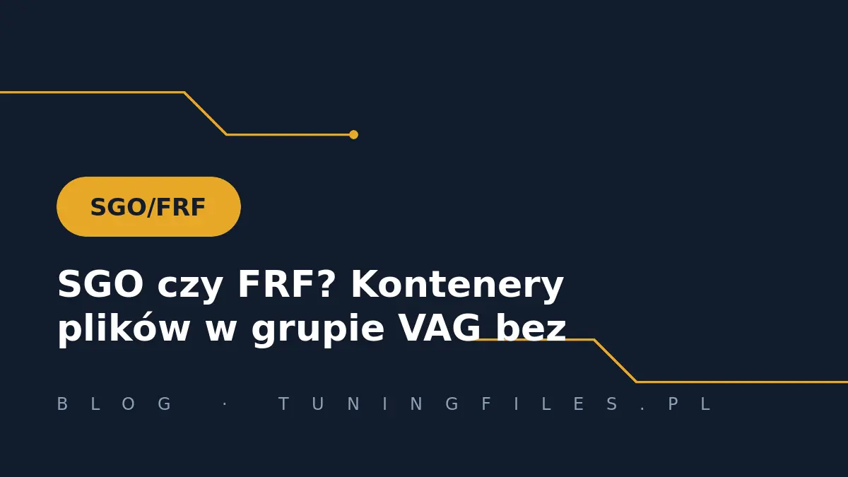 SGO czy FRF? Kontenery plików w grupie VAG bez tajemnic
