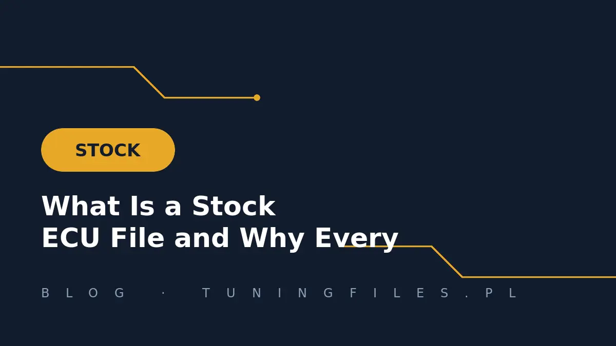 What Is a Stock ECU File and Why Every Tuner Needs a Library
