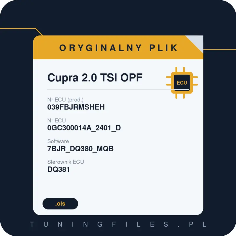 Oryginalny plik Cupra 2.0 TSI OPF 039FBJRMSHEH 0GC300014A_2401_D 7BJR_DQ380_MQB