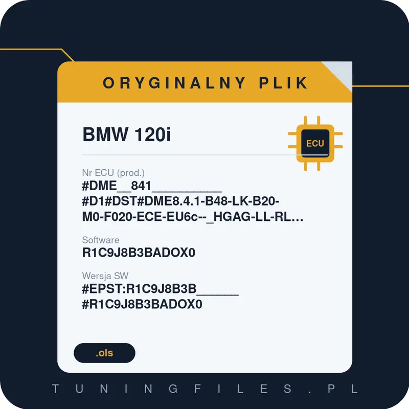 Oryginalny plik BMW 120i #DME__841__________#D1#DST#DME8.4.1-B48-LK-B20-M0-F020-ECE-EU6c--_HGAG-LL-RL-RWD-EPS11-PVL________________ R1C9J8B3BADOX0 #EPST:R1C9J8B3B______#R1C9J8B3BADOX0