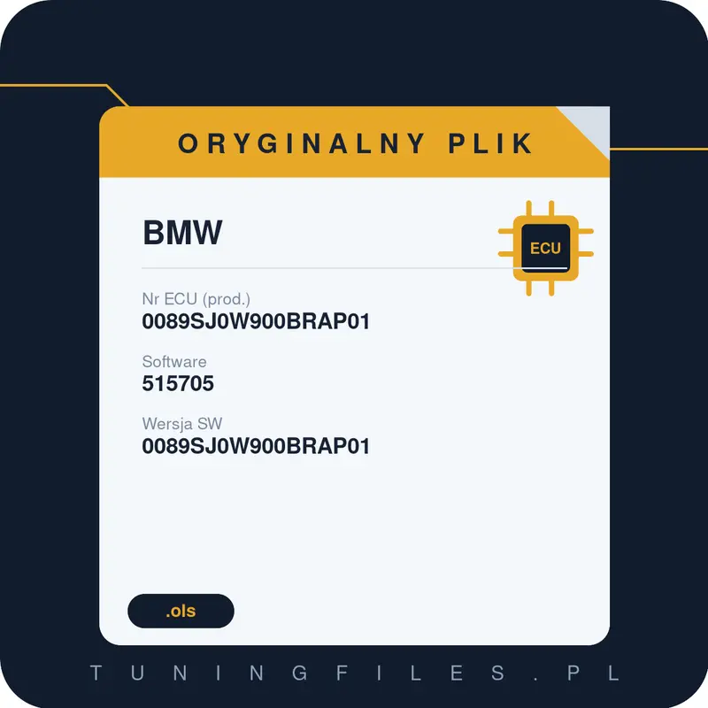 Oryginalny plik BMW 0089SJ0W900BRAP01 515705 0089SJ0W900BRAP01