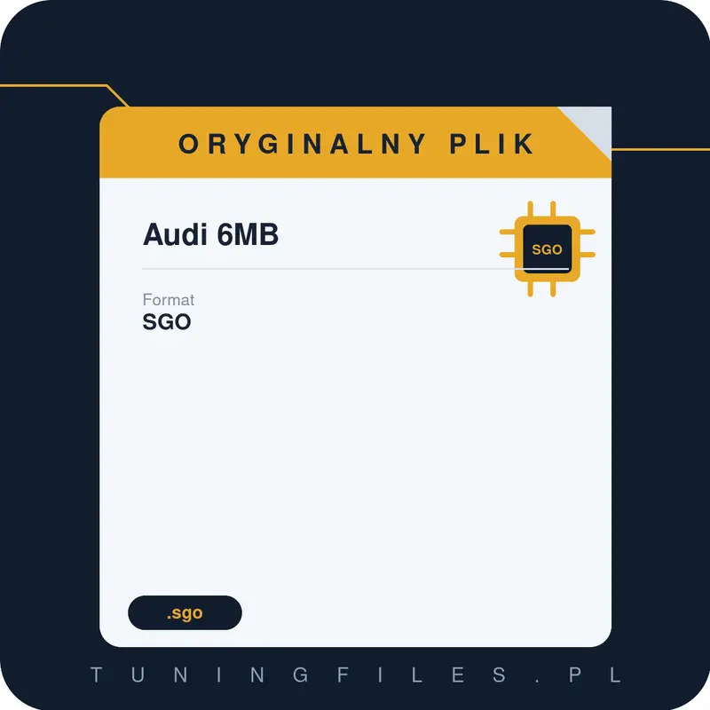 Oryginalny Plik SGO Audi 6MB