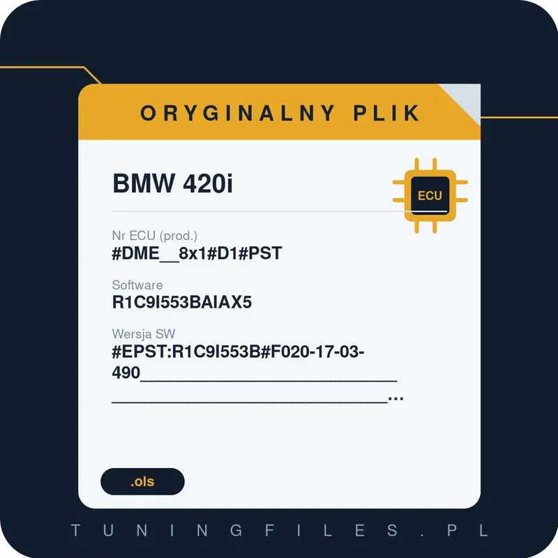 Oryginalny plik BMW 420i #DME__8x1#D1#PST R1C9I553BAIAX5 #EPST:R1C9I553B#F020-17-03-490______________________________________________________________________________________________________________________________________________________
