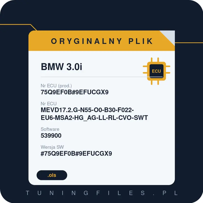 Oryginalny plik BMW 3.0i 75Q9EF0B#9EFUCGX9 MEVD17.2.G-N55-O0-B30-F022-EU6-MSA2-HG_AG-LL-RL-CVO-SWT 539900 #75Q9EF0B#9EFUCGX9