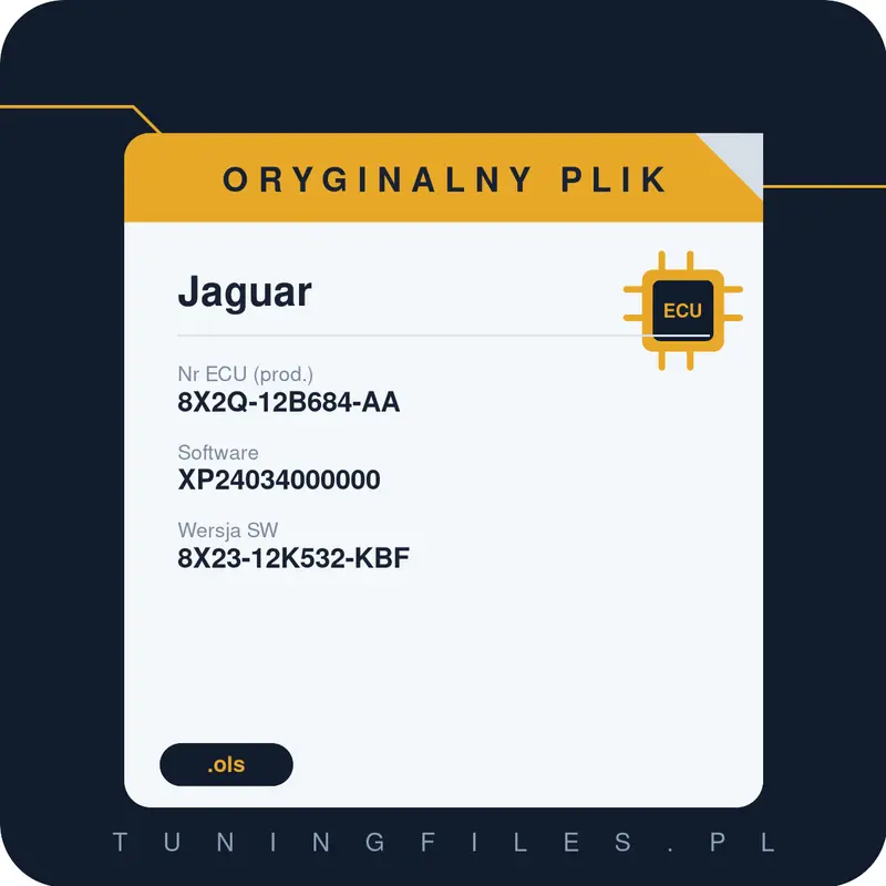 Oryginalny plik Jaguar 8X2Q-12B684-AA XP24034000000 8X23-12K532-KBF