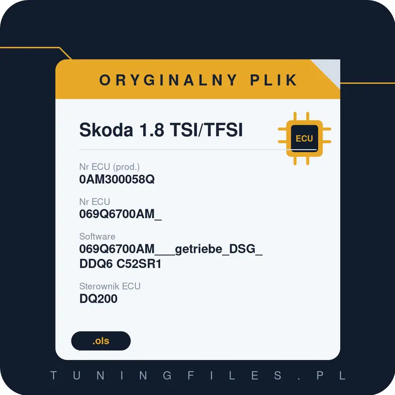 Oryginalny plik Skoda 1.8 TSI/TFSI 0AM300058Q 069Q6700AM_ 069Q6700AM___getriebe_DSG_DDQ6 C52SR1