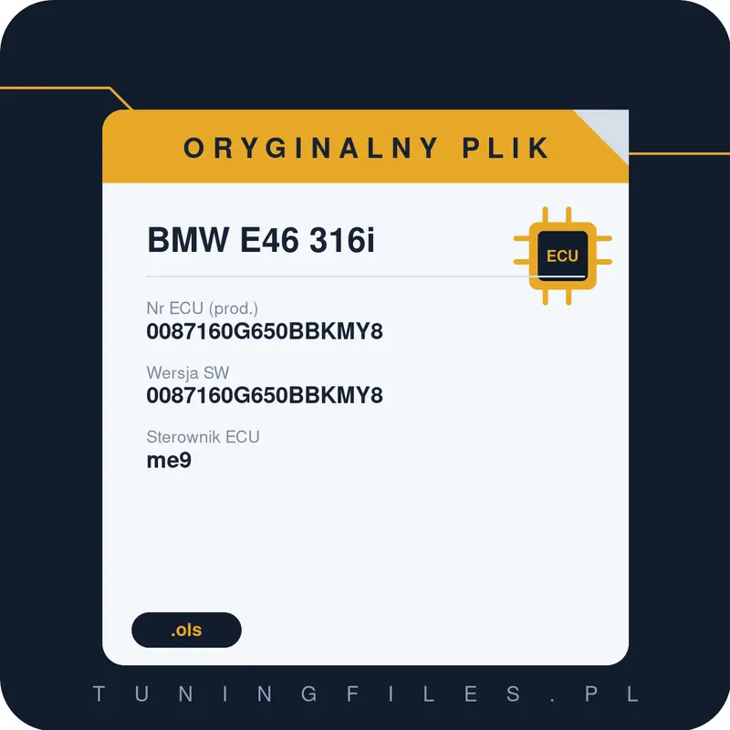 Oryginalny plik BMW E46 316i 0087160G650BBKMY8 0087160G650BBKMY8