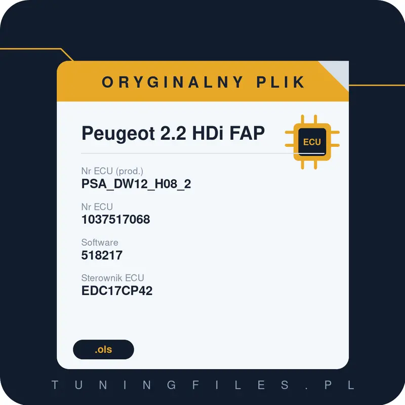 Oryginalny plik Peugeot 2.2 HDi FAP PSA_DW12_H08_2 1037517068 518217