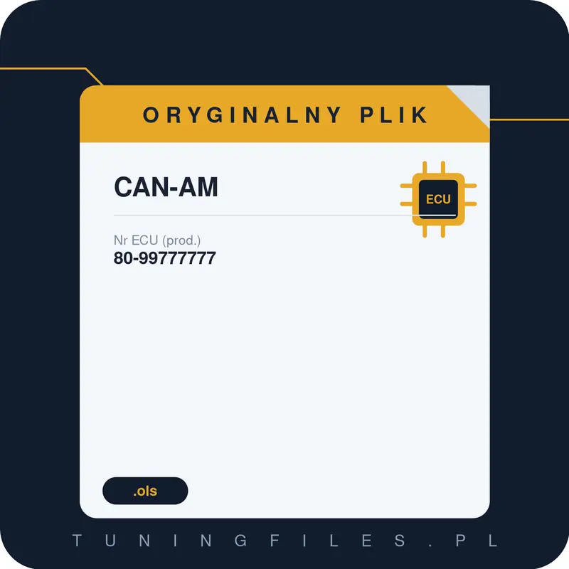 Oryginalny plik CAN-AM 80-99777777
