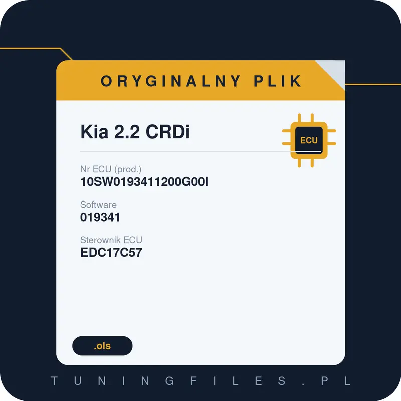 Oryginalny plik Kia 2.2 CRDi 10SW0193411200G00I 019341