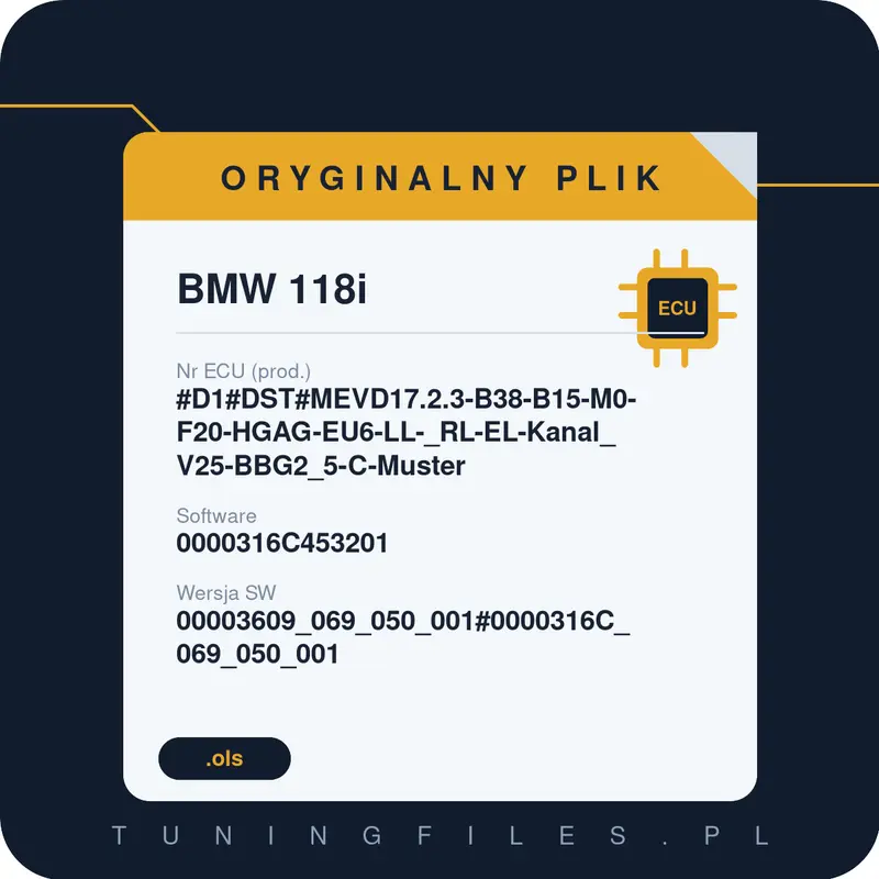 Oryginalny plik BMW 118i #D1#DST#MEVD17.2.3-B38-B15-M0-F20-HGAG-EU6-LL-_RL-EL-Kanal_V25-BBG2_5-C-Muster 0000316C453201 00003609_069_050_001#0000316C_069_050_001
