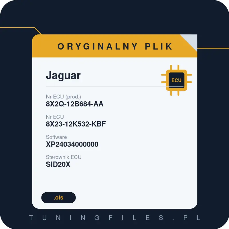 Oryginalny plik Jaguar 8X2Q-12B684-AA 8X23-12K532-KBF XP24034000000