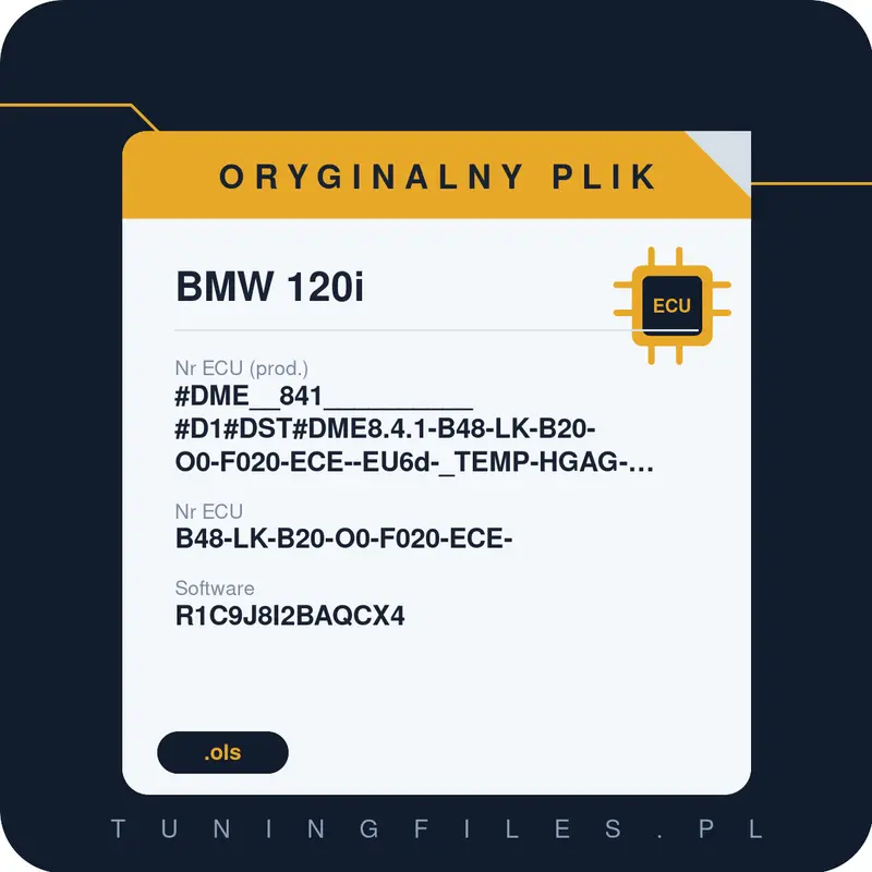 Oryginalny plik BMW 120i #DME__841__________#D1#DST#DME8.4.1-B48-LK-B20-O0-F020-ECE--EU6d-_TEMP-HGAG-LL-RL-RWD-EPS10.2-OPF-PVL_____ B48-LK-B20-O0-F020-ECE- R1C9J8I2BAQCX4 R1C9J8I2B