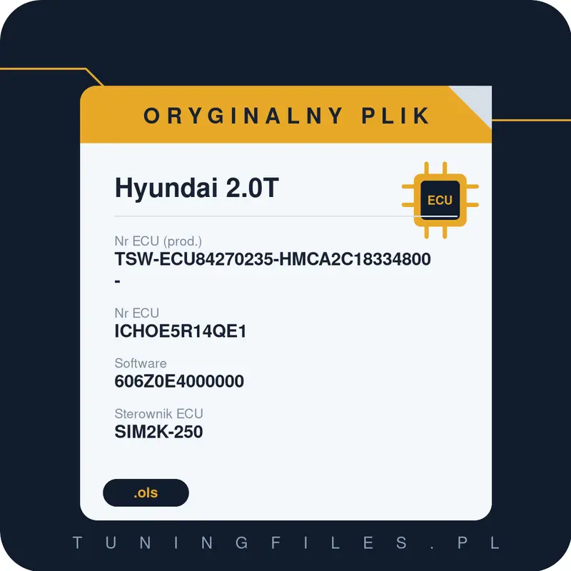 Oryginalny plik Hyundai 2.0T TSW-ECU84270235-HMCA2C18334800- ICHOE5R14QE1 606Z0E4000000