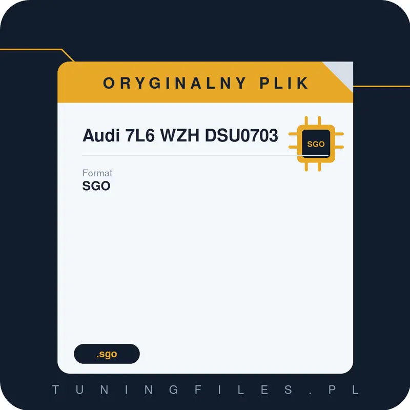 Oryginalny Plik SGO Audi 7L6 WZH DSU0703
