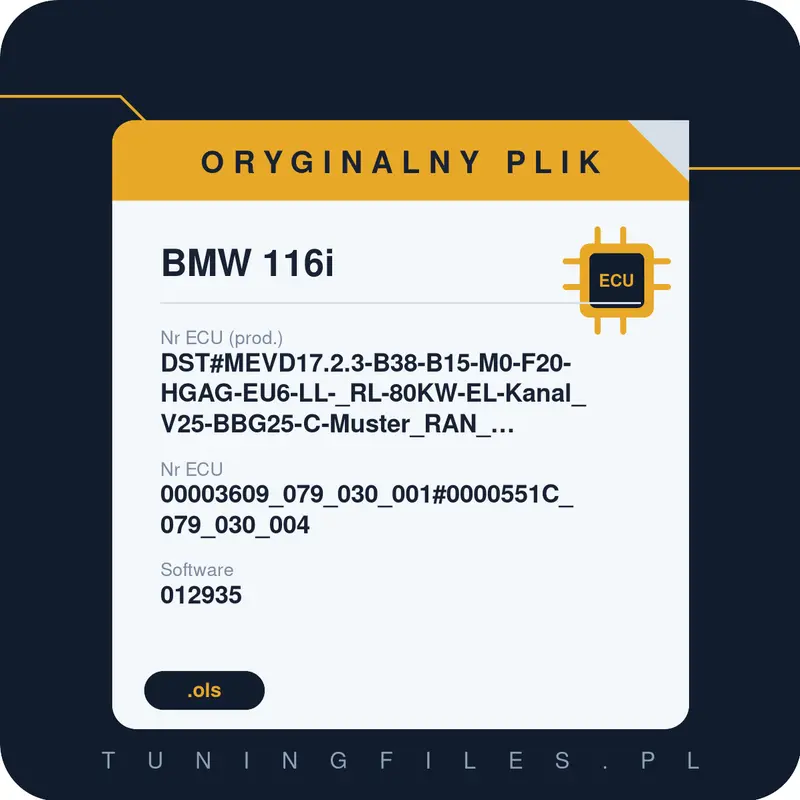Oryginalny plik BMW 116i DST#MEVD17.2.3-B38-B15-M0-F20-HGAG-EU6-LL-_RL-80KW-EL-Kanal_V25-BBG25-C-Muster_RAN_#00003609_079_030_001 00003609_079_030_001#0000551C_079_030_004 012935 #00003609_079_030_001#0000551C_079_030_004