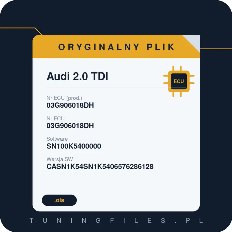 Oryginalny plik Audi 2.0 TDI 03G906018DH 03G906018DH SN100K5400000 CASN1K54SN1K5406576286128
