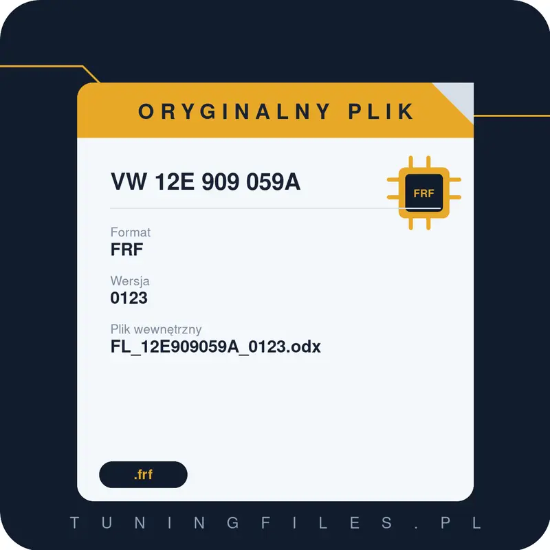 Oryginalny Plik FRF VW 12E 909 059A 0123