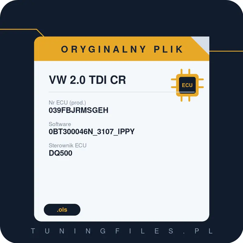 Oryginalny plik VW 2.0 TDI CR 039FBJRMSGEH 0BT300046N_3107_lPPY