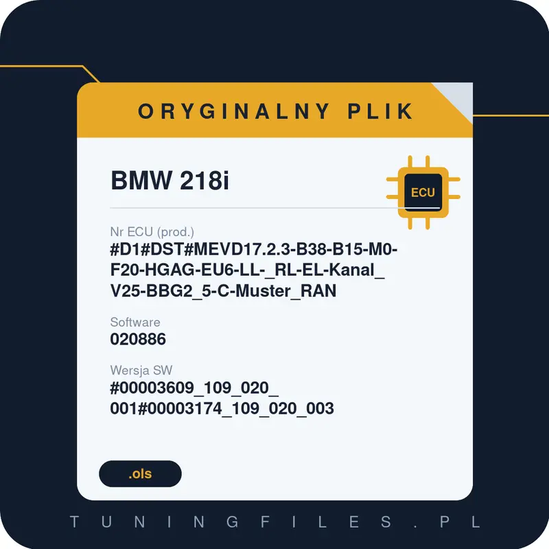 Oryginalny plik BMW 218i #D1#DST#MEVD17.2.3-B38-B15-M0-F20-HGAG-EU6-LL-_RL-EL-Kanal_V25-BBG2_5-C-Muster_RAN 020886 #00003609_109_020_001#00003174_109_020_003