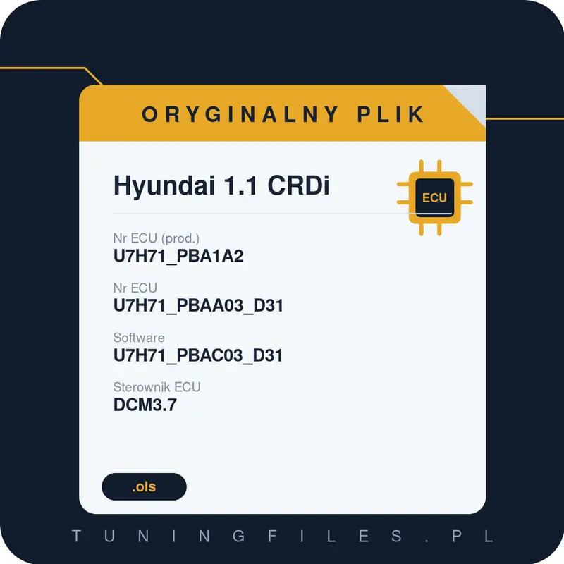 Oryginalny plik Hyundai 1.1 CRDi U7H71_PBA1A2 U7H71_PBAA03_D31 U7H71_PBAC03_D31