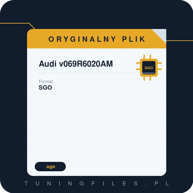 Oryginalny Plik SGO Audi v069R6020AM