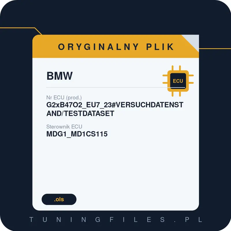 Oryginalny plik BMW G2xB47O2_EU7_23#VERSUCHDATENSTAND/TESTDATASET