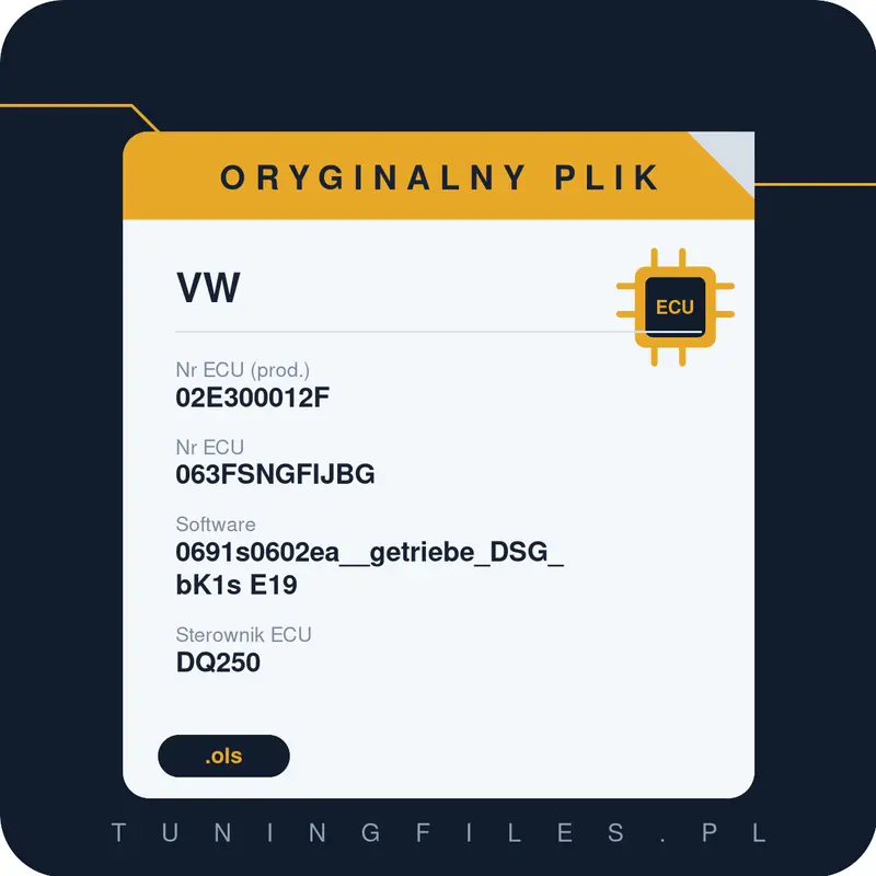Oryginalny plik VW 02E300012F 063FSNGFIJBG 0691s0602ea__getriebe_DSG_bK1s E19