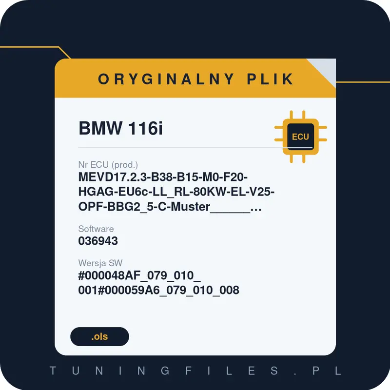 Oryginalny plik BMW 116i MEVD17.2.3-B38-B15-M0-F20-HGAG-EU6c-LL_RL-80KW-EL-V25-OPF-BBG2_5-C-Muster______#000048AF_079_010_001#000059A6_079_010_008 036943 #000048AF_079_010_001#000059A6_079_010_008