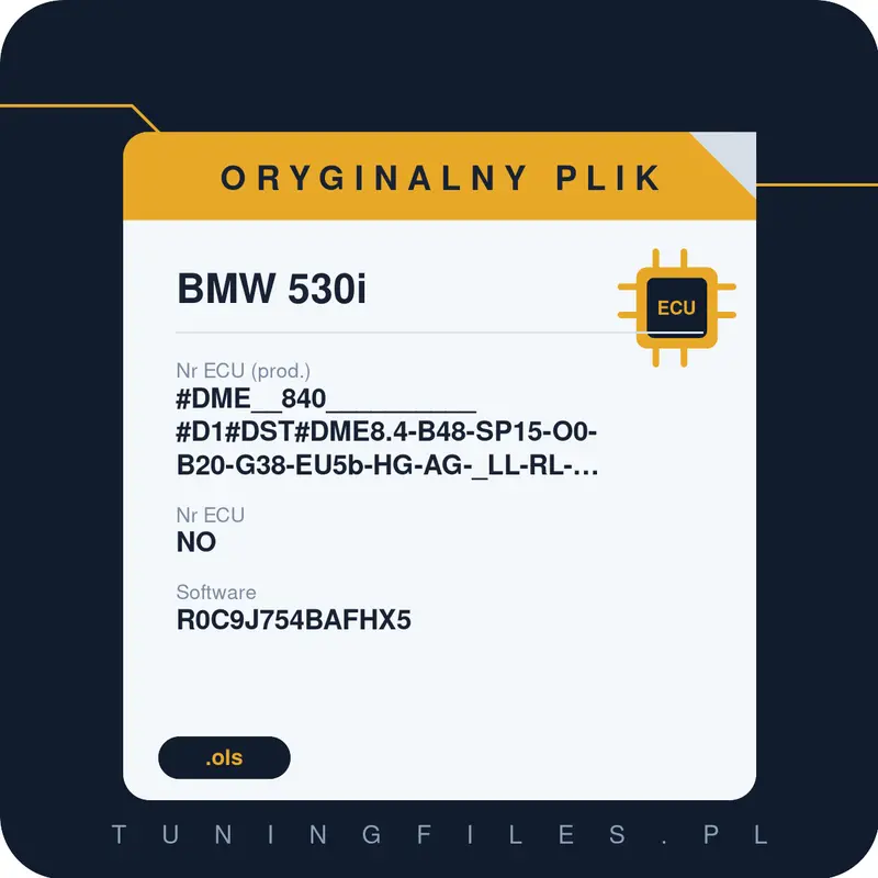 Oryginalny plik BMW 530i #DME__840__________#D1#DST#DME8.4-B48-SP15-O0-B20-G38-EU5b-HG-AG-_LL-RL-LOKAL-CHN-185kW-RWD-PVL___________ NO R0C9J754BAFHX5 #EPST:R0C9J754B______#R0C9J754BAFHX5
