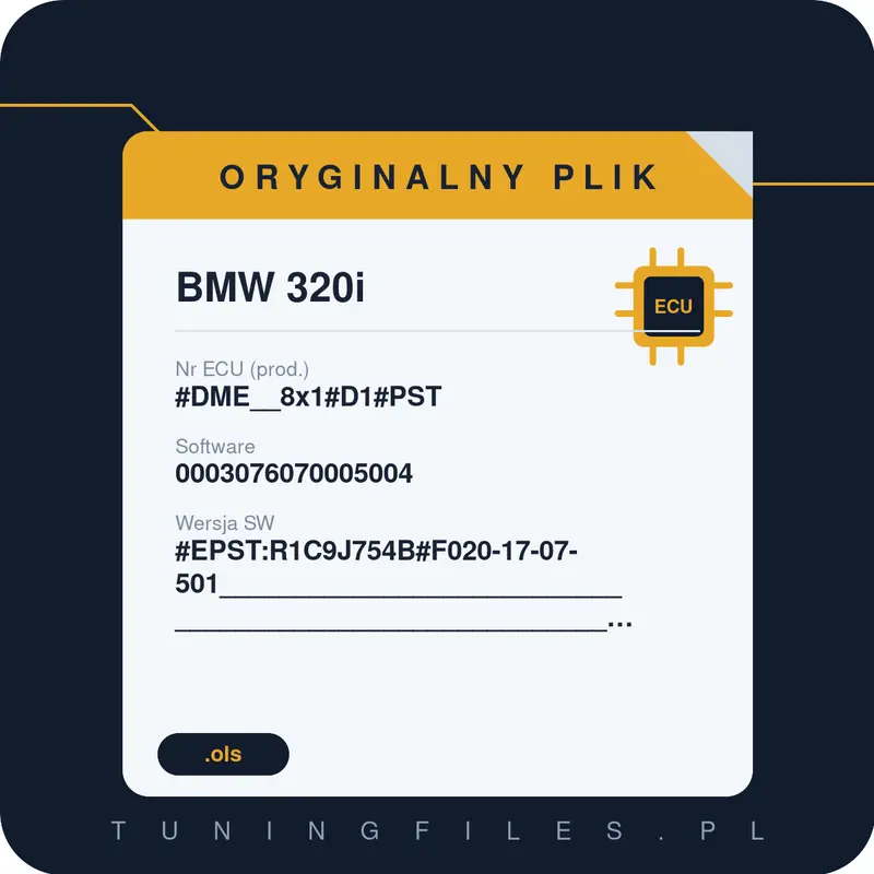 Oryginalny plik BMW 320i #DME__8x1#D1#PST 0003076070005004 #EPST:R1C9J754B#F020-17-07-501______________________________________________________________________________________________________________________________________________________