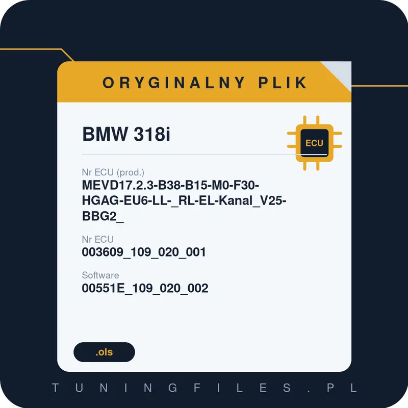 Oryginalny plik BMW 318i MEVD17.2.3-B38-B15-M0-F30-HGAG-EU6-LL-_RL-EL-Kanal_V25-BBG2_ 003609_109_020_001 00551E_109_020_002 0000551E6D1402