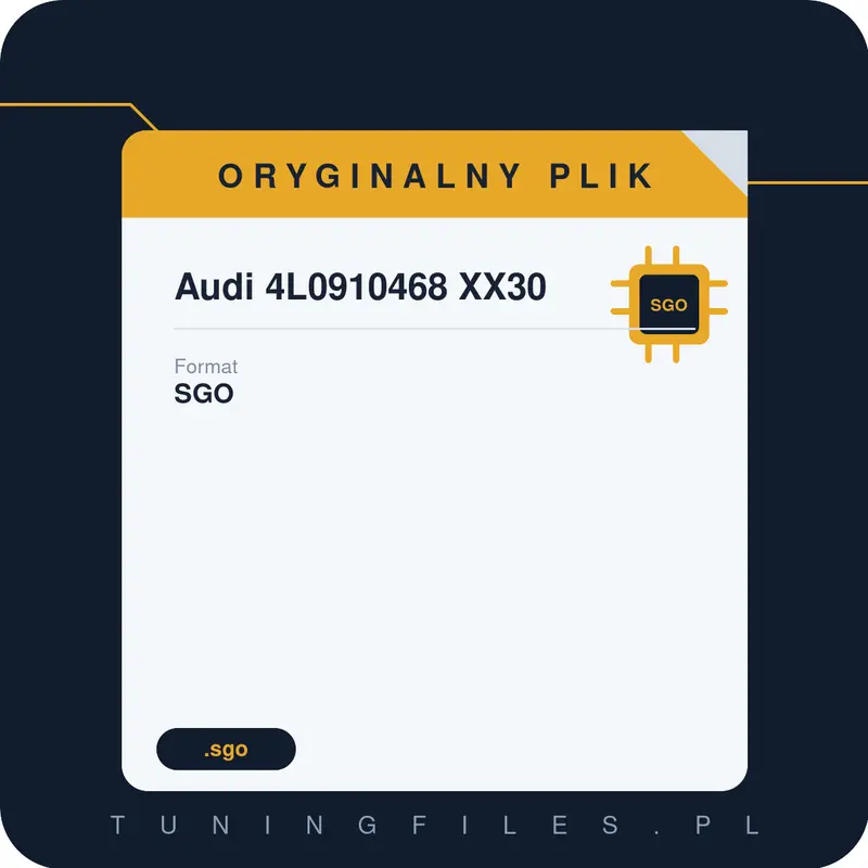 Oryginalny Plik SGO Audi 4L0910468 XX30