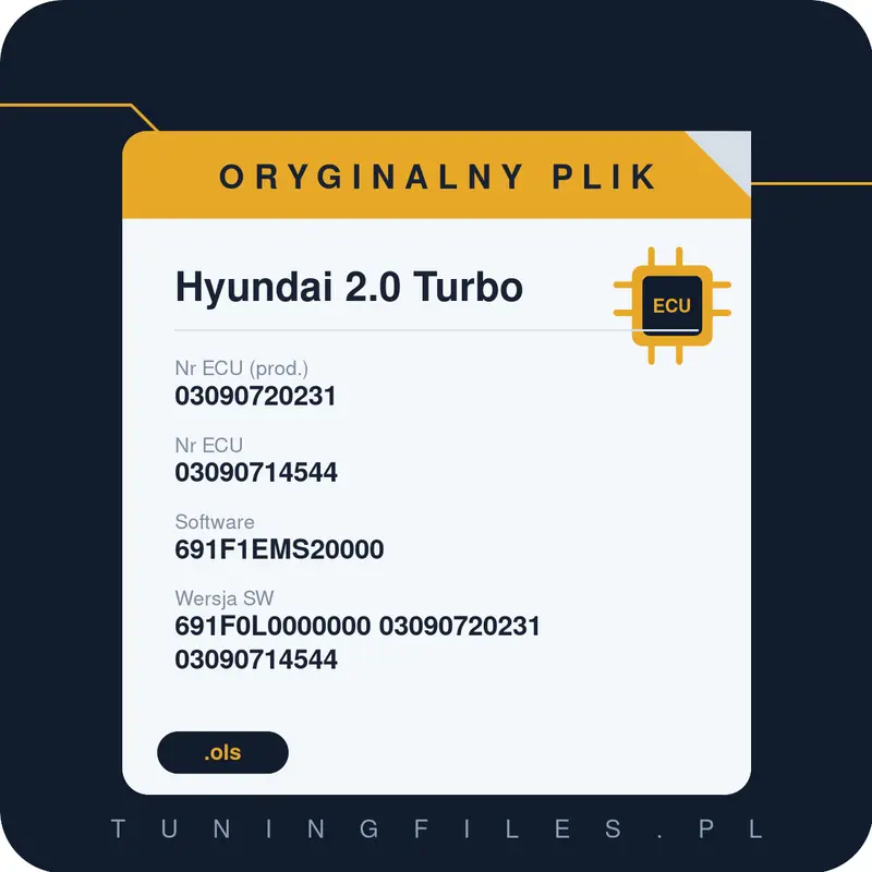 Oryginalny plik Hyundai 2.0 Turbo 03090720231 03090714544 691F1EMS20000 691F0L0000000 03090720231 03090714544