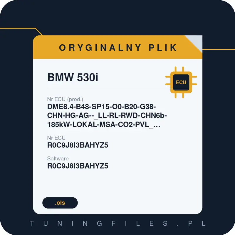 Oryginalny plik BMW 530i DME8.4-B48-SP15-O0-B20-G38-CHN-HG-AG--_LL-RL-RWD-CHN6b-185kW-LOKAL-MSA-CO2-PVL_#EPST:R0C9J8I3B______#R0C9J8I3BAHYZ5 R0C9J8I3BAHYZ5 R0C9J8I3BAHYZ5 R0C9J8I3B