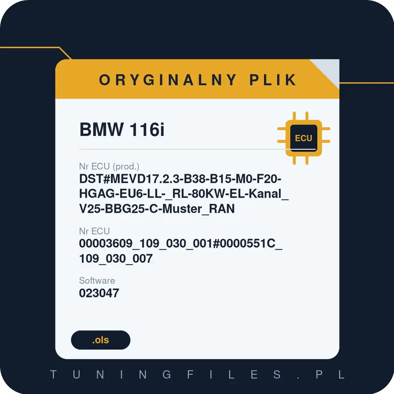 Oryginalny plik BMW 116i DST#MEVD17.2.3-B38-B15-M0-F20-HGAG-EU6-LL-_RL-80KW-EL-Kanal_V25-BBG25-C-Muster_RAN 00003609_109_030_001#0000551C_109_030_007 023047 #00003609_109_030_001#0000551C_109_030_007
