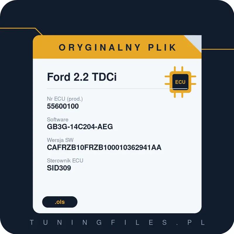 Oryginalny plik Ford 2.2 TDCi 55600100 GB3G-14C204-AEG CAFRZB10FRZB100010362941AA