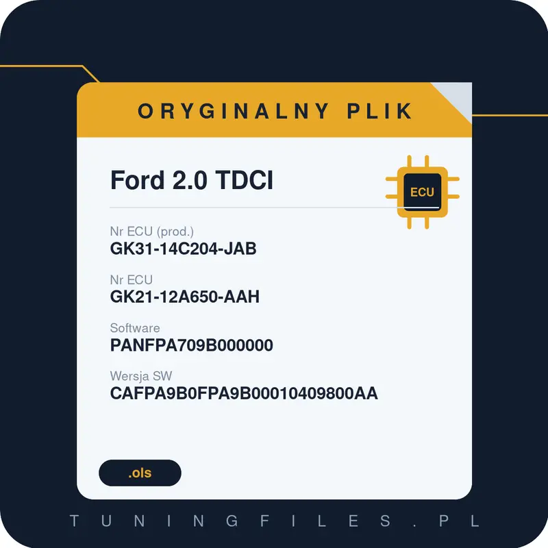 Oryginalny plik Ford 2.0 TDCI GK31-14C204-JAB GK21-12A650-AAH PANFPA709B000000 CAFPA9B0FPA9B00010409800AA