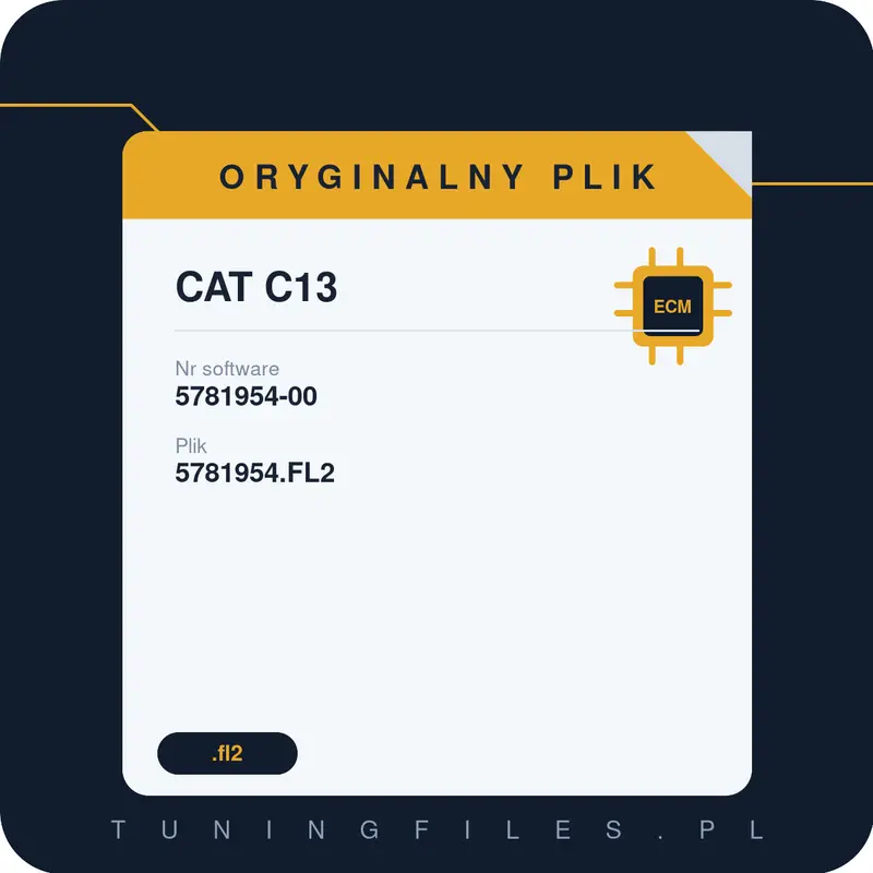 Oryginalny plik CAT C13 5781954-00