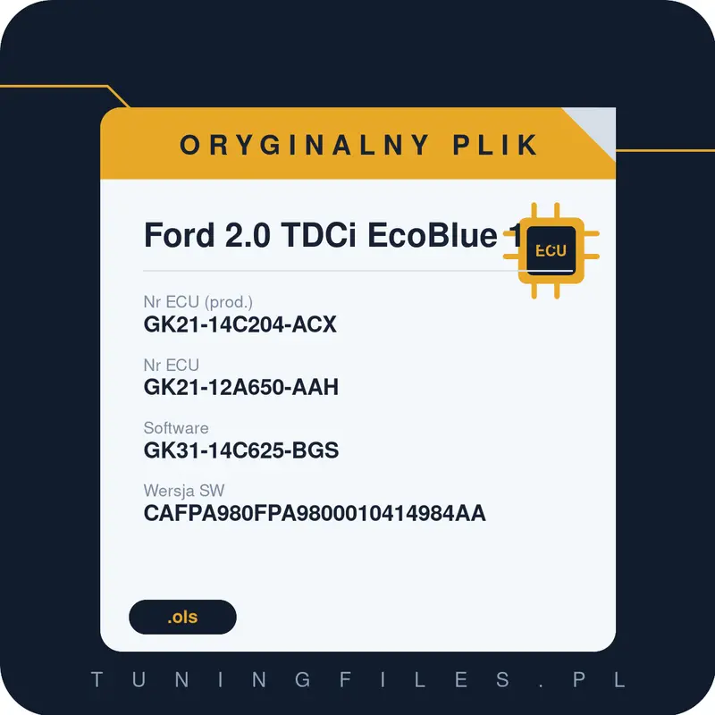 Oryginalny plik Ford 2.0 TDCi EcoBlue 170hp GK21-14C204-ACX GK21-12A650-AAH GK31-14C625-BGS CAFPA980FPA9800010414984AA
