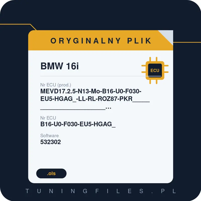 Oryginalny plik BMW 16i MEVD17.2.5-N13-Mo-B16-U0-F030-EU5-HGAG_-LL-RL-ROZ87-PKR________________________#9ZX99L0B#00001928_049_210_003 _ B16-U0-F030-EU5-HGAG_ 532302 #9ZX99L0B#00001928_049_210_003