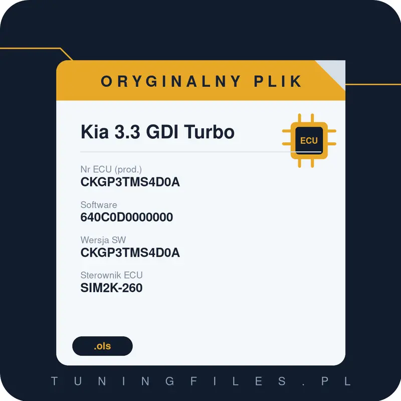 Oryginalny plik Kia 3.3 GDI Turbo CKGP3TMS4D0A 640C0D0000000 CKGP3TMS4D0A