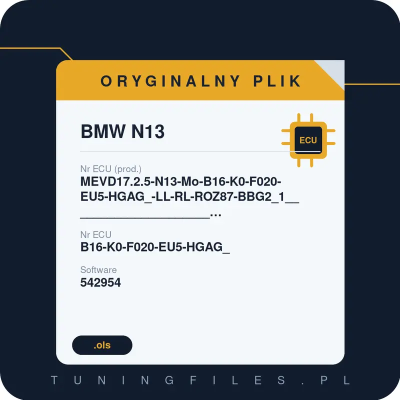 Oryginalny plik BMW N13 MEVD17.2.5-N13-Mo-B16-K0-F020-EU5-HGAG_-LL-RL-ROZ87-BBG2_1_____________________#9ZX99R0B#00001895_049_240_003 _ B16-K0-F020-EU5-HGAG_ 542954 #9ZX99R0B#00001895_049_240_003