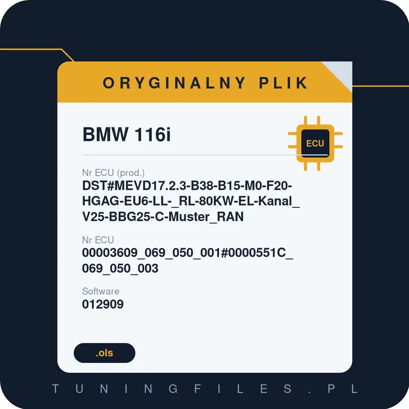 Oryginalny plik BMW 116i DST#MEVD17.2.3-B38-B15-M0-F20-HGAG-EU6-LL-_RL-80KW-EL-Kanal_V25-BBG25-C-Muster_RAN 00003609_069_050_001#0000551C_069_050_003 012909 #00003609_069_050_001#0000551C_069_050_003