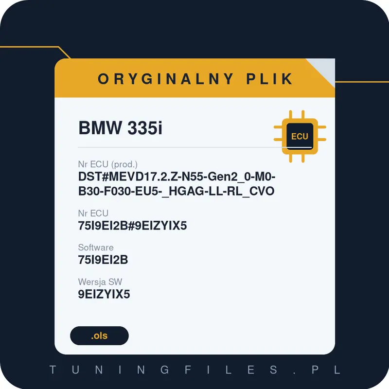 Oryginalny plik BMW 335i DST#MEVD17.2.Z-N55-Gen2_0-M0-B30-F030-EU5-_HGAG-LL-RL_CVO 75I9EI2B#9EIZYIX5 75I9EI2B 9EIZYIX5