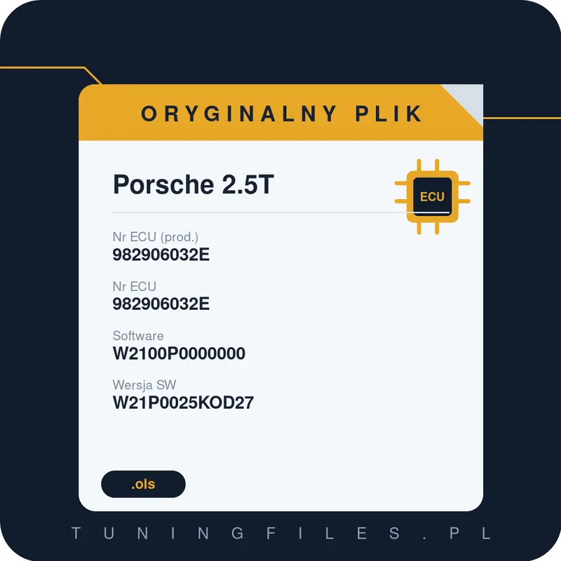 Oryginalny plik Porsche 2.5T 982906032E 982906032E W2100P0000000 W21P0025KOD27