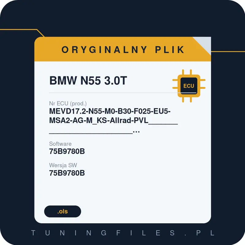 Oryginalny plik BMW N55 3.0T MEVD17.2-N55-M0-B30-F025-EU5-MSA2-AG-M_KS-Allrad-PVL___________________________#75B9780B#978VGDY3 _ 75B9780B 75B9780B