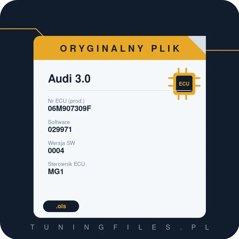 Oryginalny plik Audi 3.0 06M907309F 029971 0004