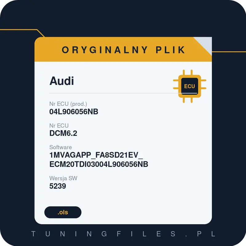 Oryginalny plik Audi 04L906056NB DCM6.2 1MVAGAPP_FA8SD21EV_ECM20TDI03004L906056NB 5239